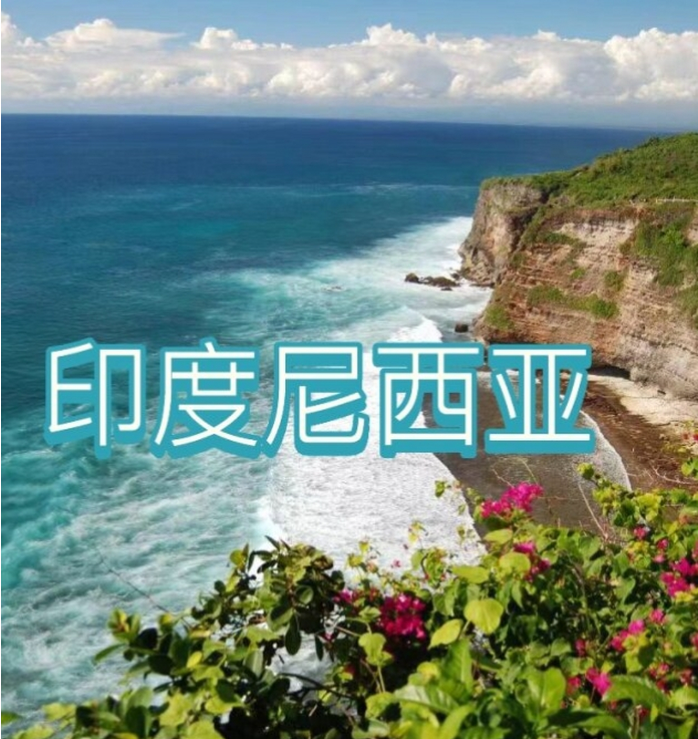 国国际电商(印尼)产业博览会AG真人游戏平台2025中(图2)