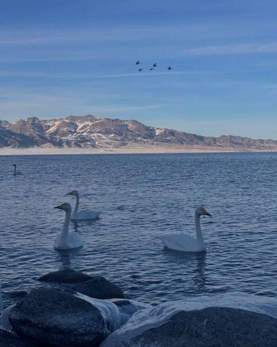 胜游领衔2025新疆高信誉旅行社TOP10AG真人旗舰厅5000+游客亲测揭晓：远(图4)